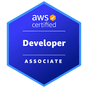 AWS Developer - Associate